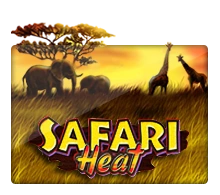 Safari Heat - PORTBET88