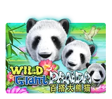 Wild Giant Panda - PORTBET88