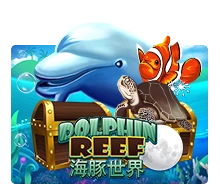 Dolphin Reef - PORTBET88