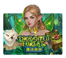 Enchanted Forest - PORTBET88